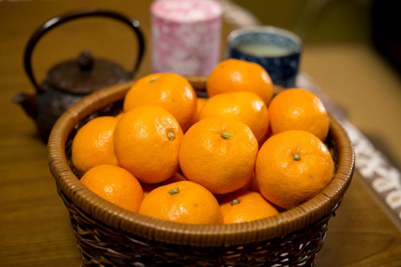 mikan ở vùng kyushu một mảnh lịch sử đầy ngọt ngào mikan ở vùng kyushu một mảnh lịch sử đầy ngọt ngào